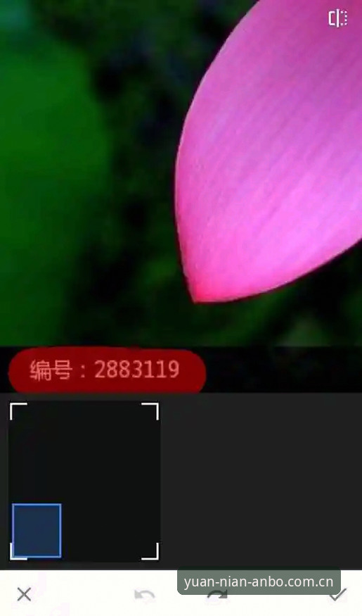 安博ANBO旧版登录失败修复哪个好 安博ANBO旧版登录失败修复哪个好?手把手操作教程